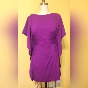 Silk dress good for wedding or ceremony splash of color, a conservative mini.